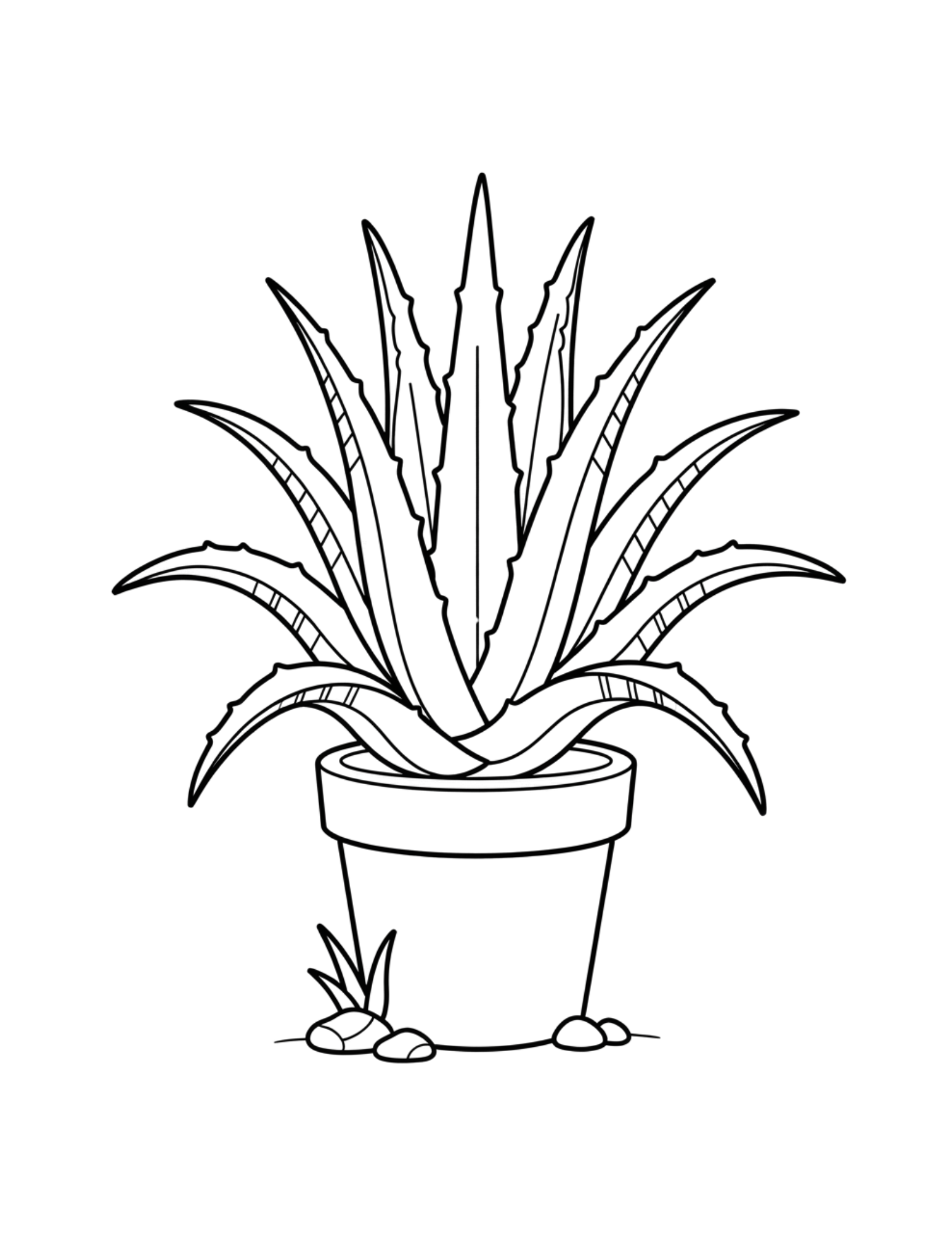 Interior preview 1 from Simply Succulents