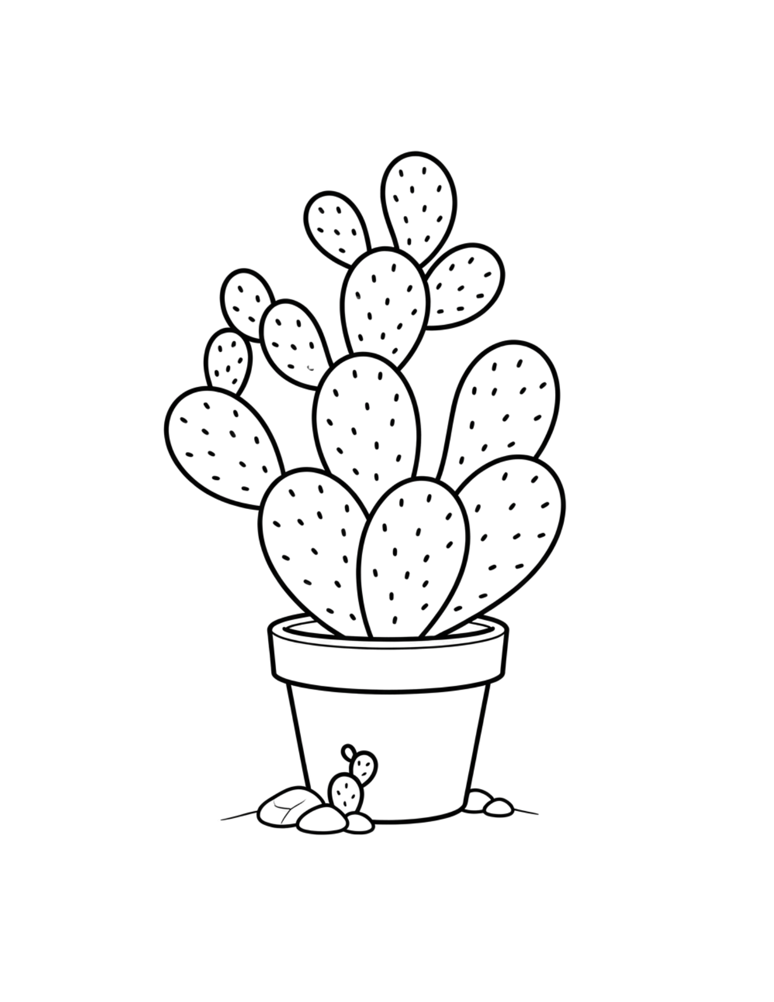 Interior preview 3 from Simply Succulents