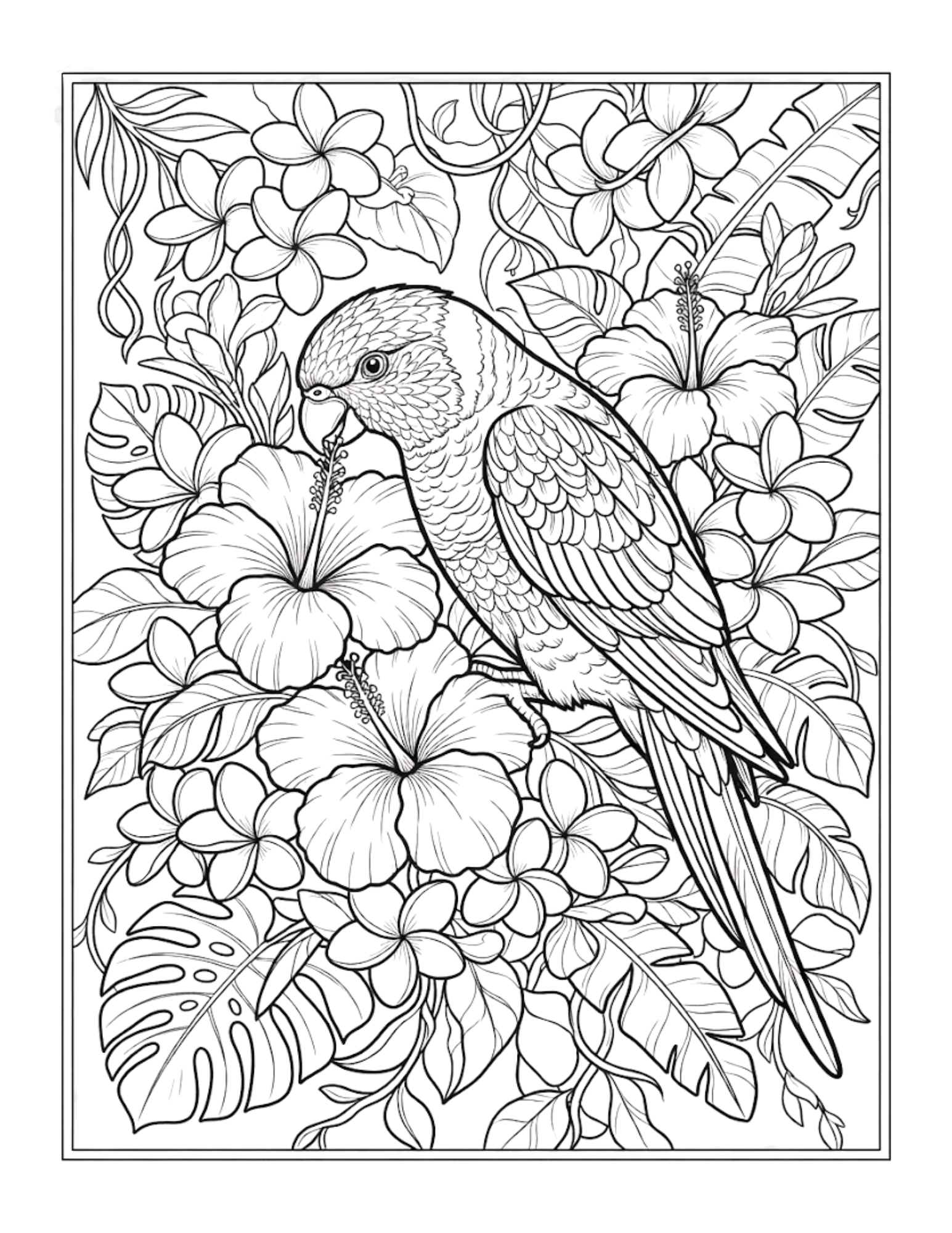 Interior preview 3 from Tropical Birds Coloring Book